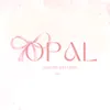 o.p.a.l_teamedit