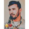 afg_wolf.vx