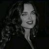 amak_335