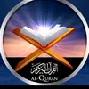 user6178817760651