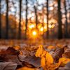 .deborah679