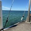 family_fishing367