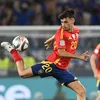 futbolazo17