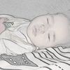 siwajr.siwa