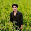 hannan9650