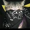 mhbub251