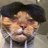aungspfjmz1