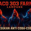 PACO FARM