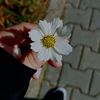 user9773700768532