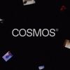 cosmos_beautiful2