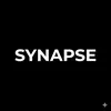 synapse197