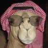 كومنت ✍🏼