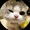 hacimi23