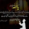 islamicvideo._07