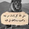 user8186292665205