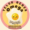 telorbebek.omega