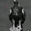 user8035141098823