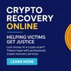 crypto recovery online