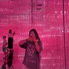 .amina652