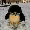 gg_ssname
