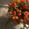 teba_toti