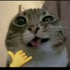 opiumxzy