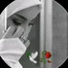 user600598878