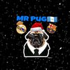 mr_pug45
