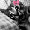 itzz_przem00