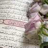 user2611465261245