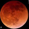 lunarbloom636