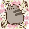 user6342735267
