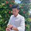 anh.quang.nha.tra