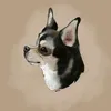 majors_doggyy