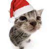 christmas_kitty51