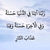 amal.mahmoud1494