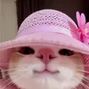 puffyy.paw