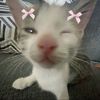 masha_0622
