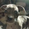 stephanie.w529
