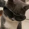 rennieboy4