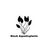 blackaquaticplants