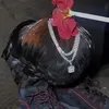 king.bobith