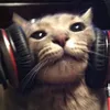 nomusicnolife_btw
