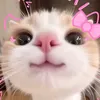 raise.ur.ya.nanaa0