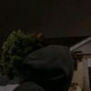 masrizz805