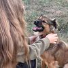 тайский🐾