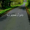 user4020613980847