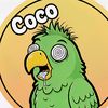 coco.parrot8