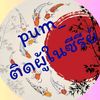 pum_series2