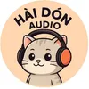 haidonaudio17